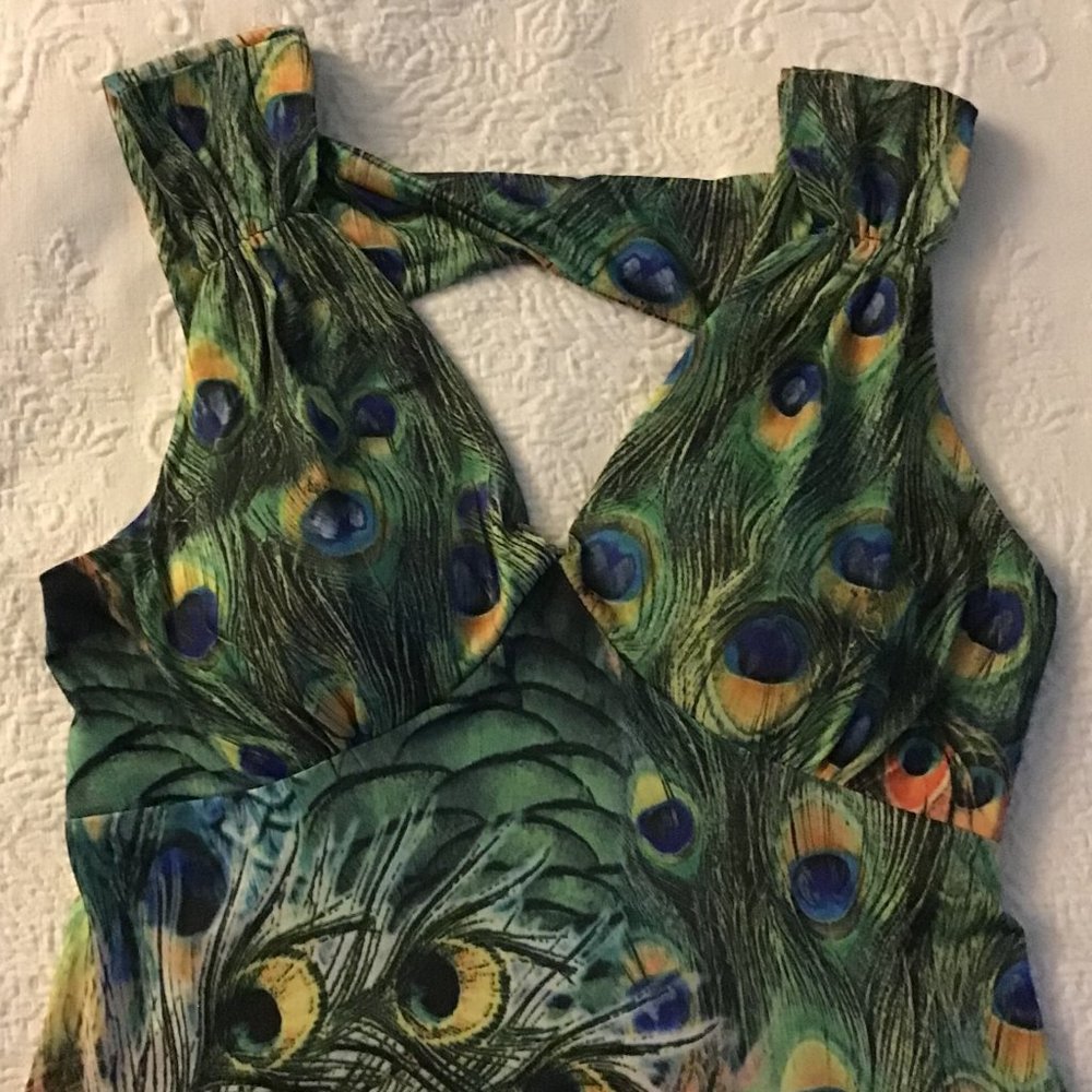 Peacock Swing Dress - Picture 5 of 6
